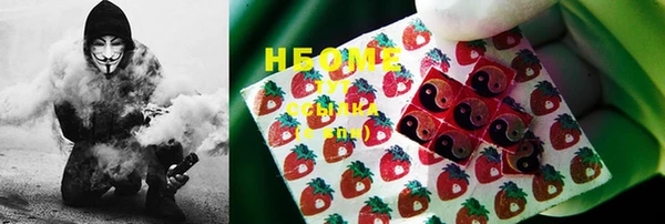 шишки Анива