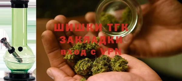 ПСИЛОЦИБИНОВЫЕ ГРИБЫ Аркадак