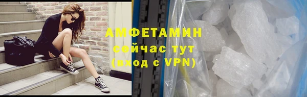 прущие грибы Армянск