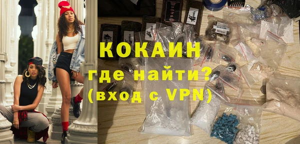 прущие грибы Армянск