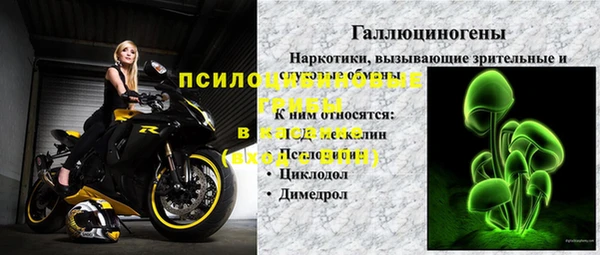 шишки Анива